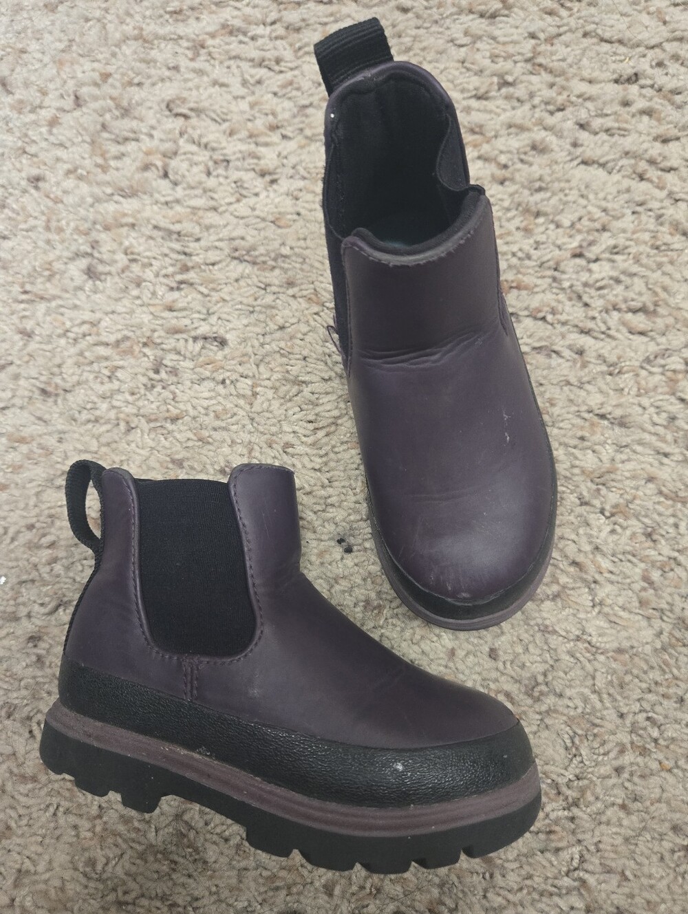 Native Kids Chelsea Boots in Plum and Black Size 8